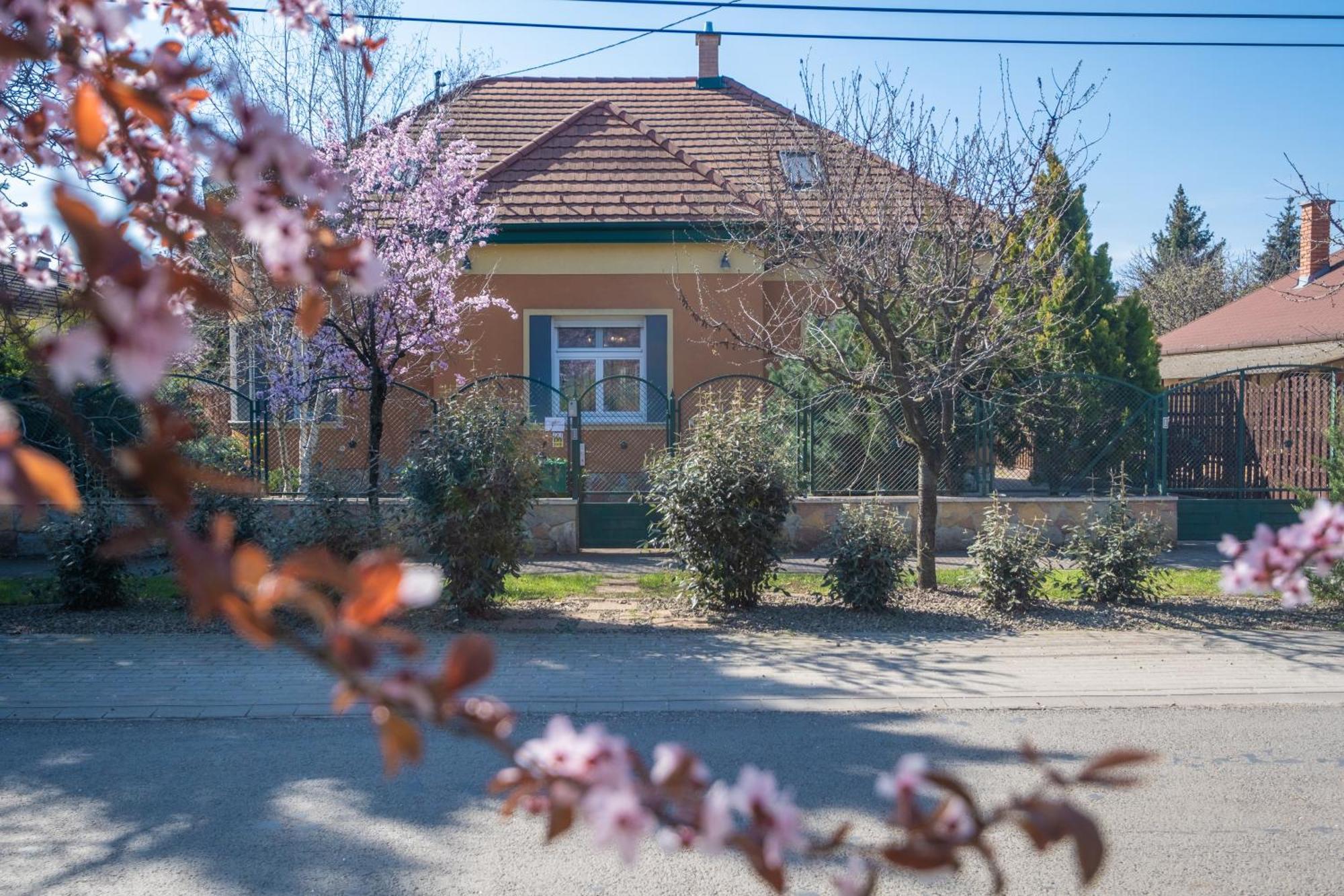 Giovanni'S Airport House Budapest Ngoại thất bức ảnh